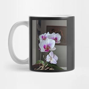 Orchids Mug